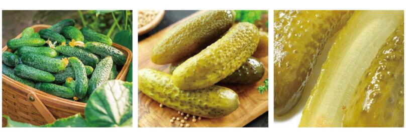 Pickled-cucumber