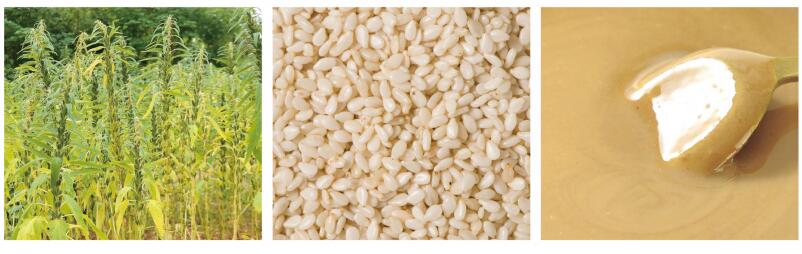 Sesame paste