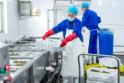 Production