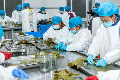 Production