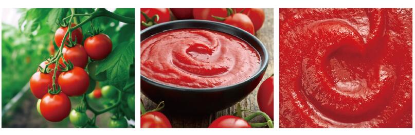 Tomato-paste